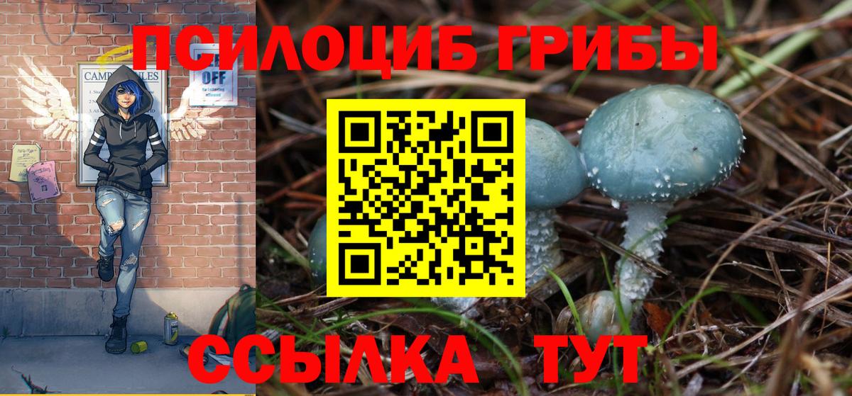 Химки  Галлюциногенные грибы Magic Shrooms  Псилоцибиновые грибы GOLDEN TEACHER  где найти   Вход с VPN 