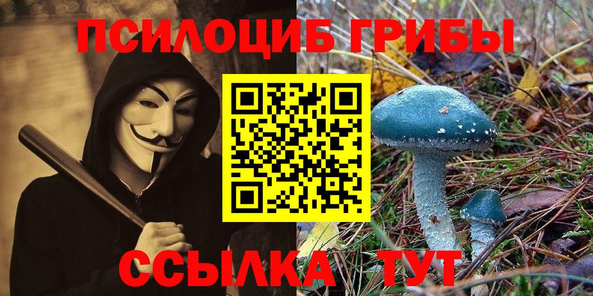 Псилоцибиновые грибы GOLDEN TEACHER Химки